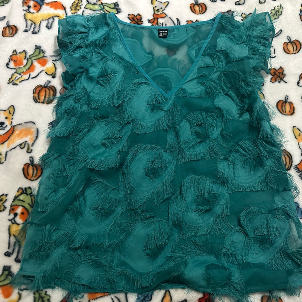 See through aquamarine blouse 🩵